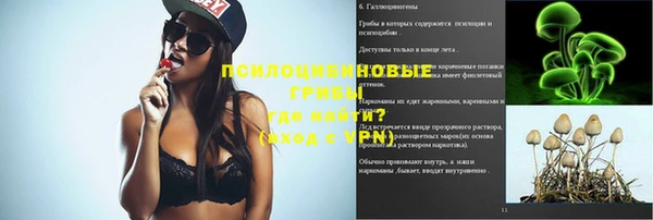стафф Богданович