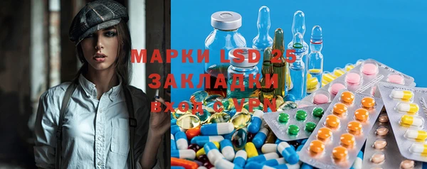 стафф Богданович
