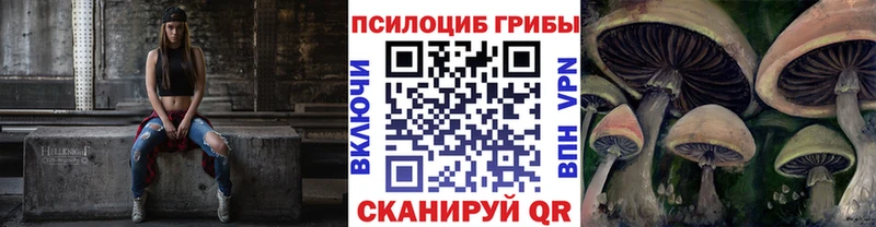 omg ссылка  Бобров  Псилоцибиновые грибы Psilocybe 