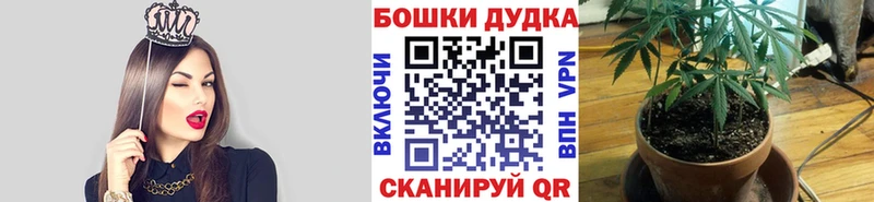 Шишки марихуана марихуана  Бобров 